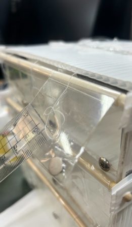 盒蓋掀開的特寫